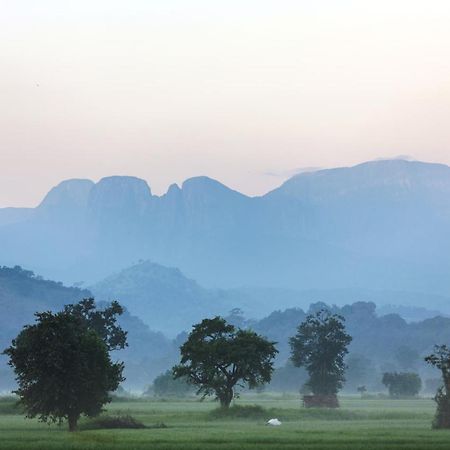 Farcry Nature Boutique Resort Matale Kültér fotó