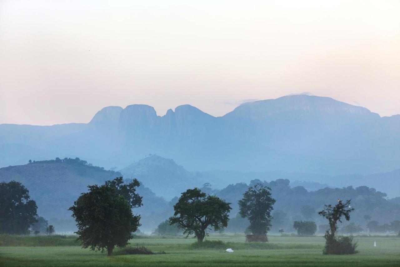 Farcry Nature Boutique Resort Matale Kültér fotó